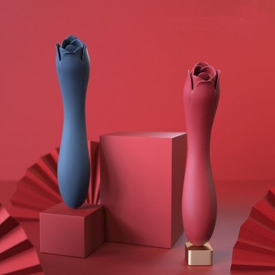 Silica Gel Rose Toy 10 Modes (red)