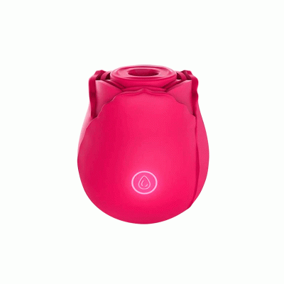 Silica Gel Rose Toy Multicolor